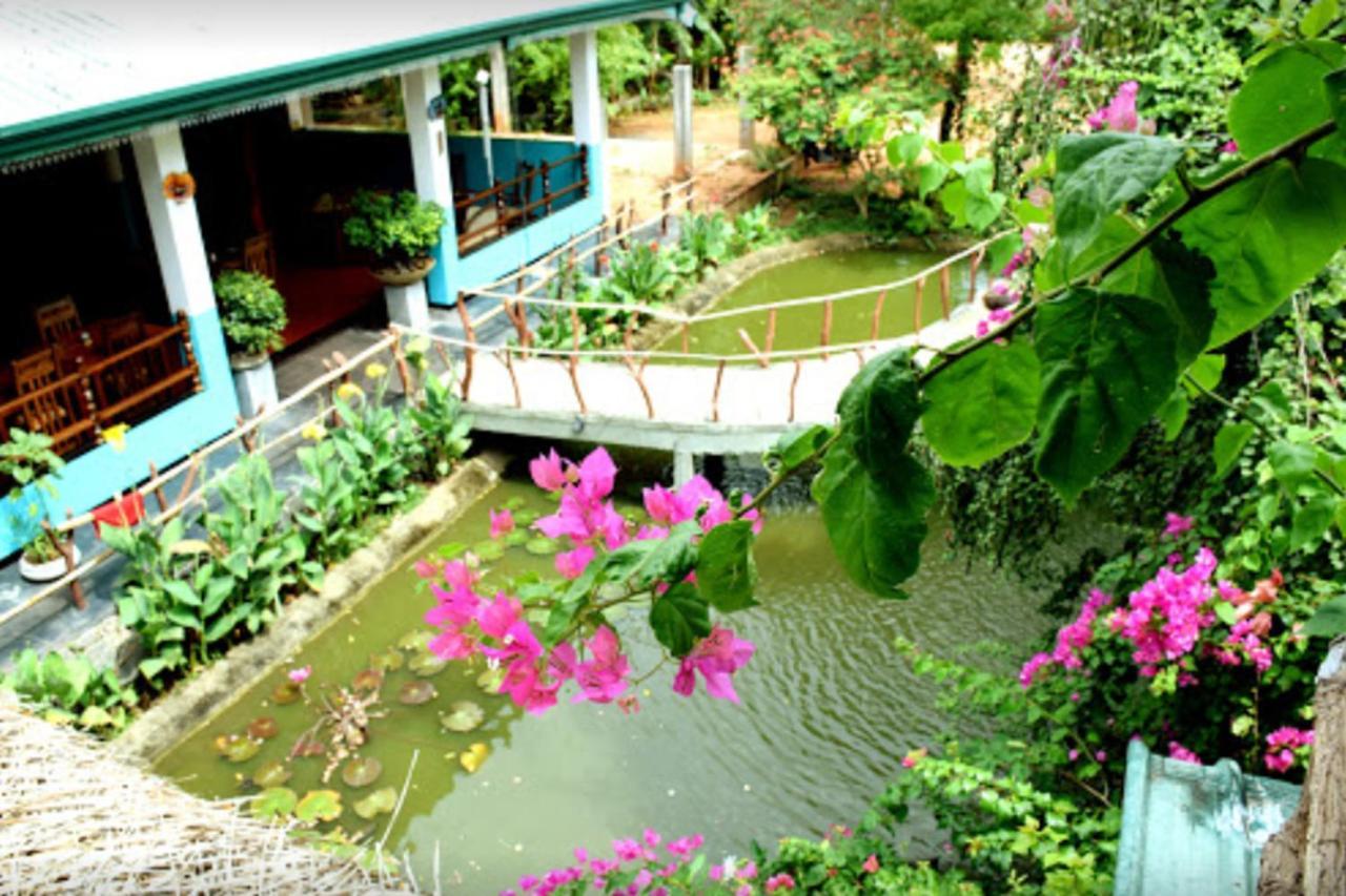 Hungry Lion Sigiriya Hotel Exterior foto