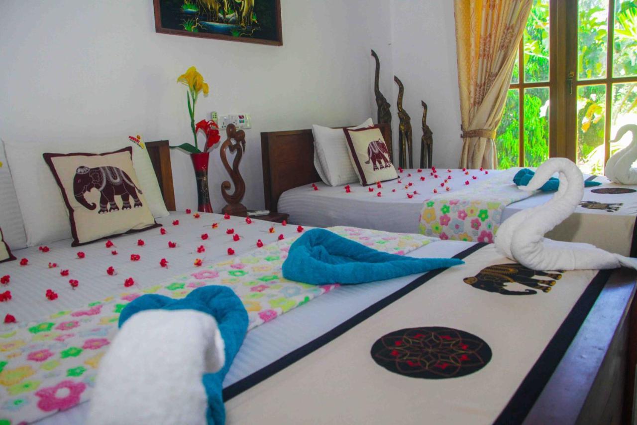 Hungry Lion Sigiriya Hotel Exterior foto
