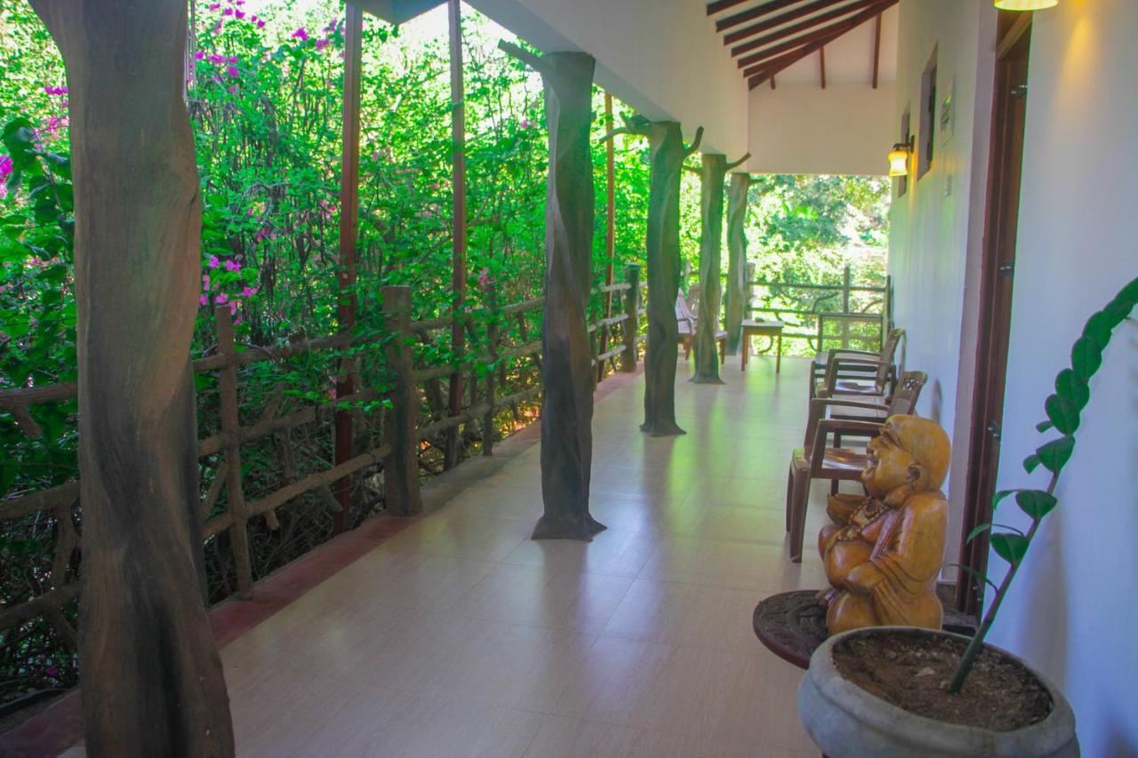 Hungry Lion Sigiriya Hotel Exterior foto