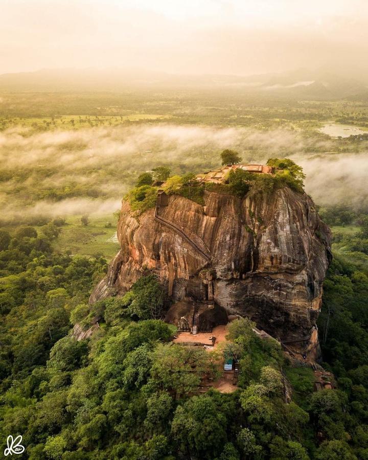 Hungry Lion Sigiriya Hotel Exterior foto
